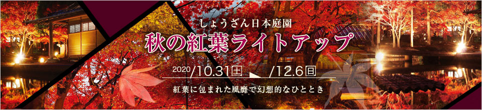 秋の紅葉ライトアップ