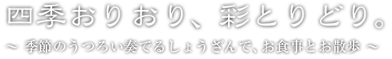 四季おりおり、彩とりどりの秋 〜季節のうつろい奏でるしょうざんで、お食事にお散歩〜