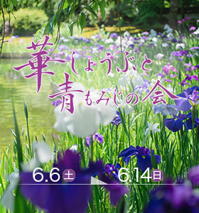 華しょうぶと青もみじの会