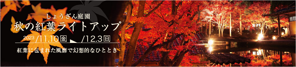 秋の紅葉ライトアップ