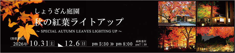 秋の紅葉ライトアップ