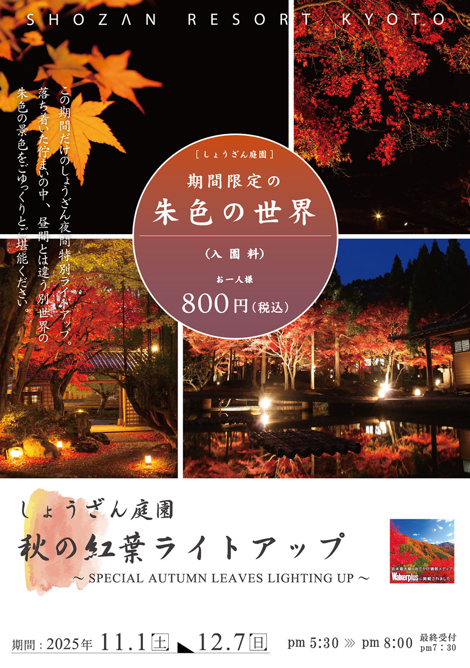 秋の紅葉ライトアップ